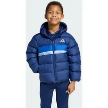adidas Winterjacke Dark Blue/Team Royal Blue/Glow Blue 116