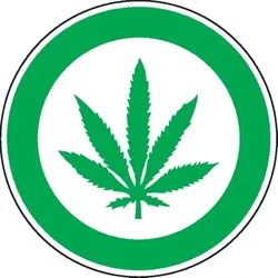 Dreifke® Hinweisschild Cannabis erlaubt, praxisbewährt, Folie, selbstklebend, Ø 200mm