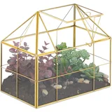 Relaxdays Pflanzenterrarium, Glas & Kupfer, HBT: 21x23x14 cm, Deko Glashaus Kakteen & Moos, Glaskasten Fensterbank, gold