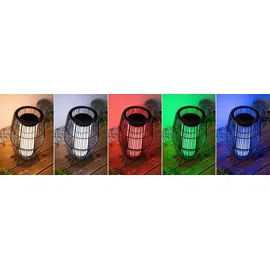 Paulmann Plug & Shine Basket Zigbee 3.0 IP44 RGBW+ 3,2 W Schwarz