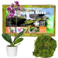 1/2/3 Stück frisches Sphagnum-Moos – lebendes Moos 500 g bis 450 g – natürliches Sphagnum-Moos, ideal für Terrarien, lebende Pflanzen und Kränze