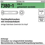 Reyher Flachkopfschraube ISO 7380-1 Innen-6kt M3x30 010.9 galv.verz. 500St.