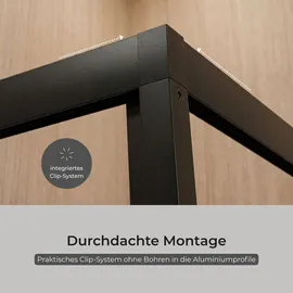 Schulte Sunny Duschtür anschlaglos 80 x 190 cm schwarz Sicherheitsglas