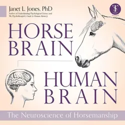 Horse Brain, Human Brain