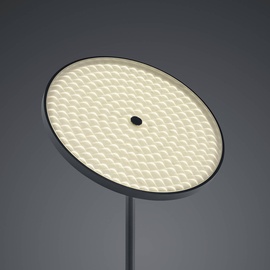 BANKAMP Solid LED-Stehlampe m. Dimmer, schwarz