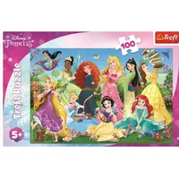 Trefl Puzzle Charming Princesses 16417