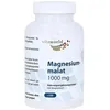 Magnesiummalat 1000 mg Kapseln 120 St.