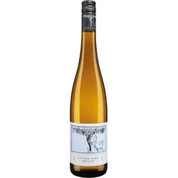 Friedrich Becker - Riesling Laisser Faire, 2023