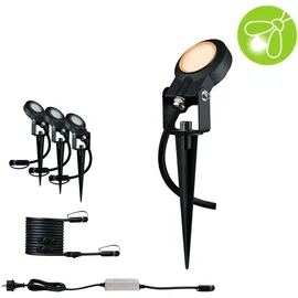 Paulmann Plug & Shine LED Spot Sting insect-friendly Anthrazit 3er-Set