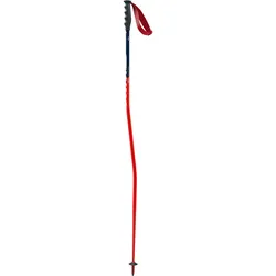 Swix WC Pro Super-g (000) 130cm