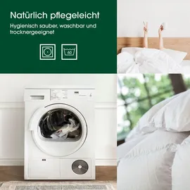HANSKRUCHEN GmbH HANSKRUCHEN® Daunenbettdecke 155x220 cm Warm 90% Daunen waschbar Allergiker Winterdecke atmungsaktiv Bettdecke weiss - Premium de Luxe / Weiß