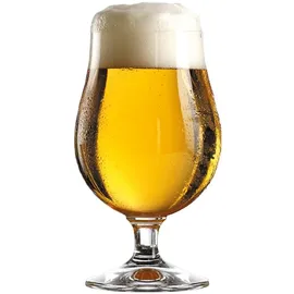 Stölzle Bierglas 0,3 l 6 St.