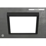Briloner Leuchten LED Deckenleuchte »FIRE BLACK«, schwarz-weiß