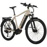 ADORE E-Bike 53 cm)