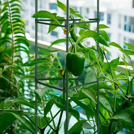 Relaxdays Rankhilfe 90 x 16 cm Dunkelgrün