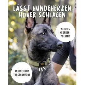 Rudelkönig Hundehalsband - Gepolstertes Halsband grün 55-60 cm