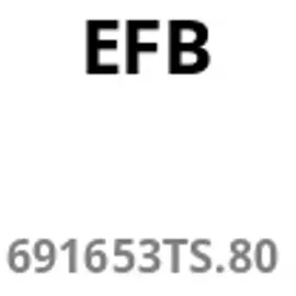 EFB-Elektronik EFB 19" 1HE Schwerlast Fachboden,T=500-900 mm,max.150 kg,s"