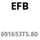 EFB-Elektronik EFB 19" 1HE Schwerlast Fachboden,T=500-900 mm,max.150 kg,s"