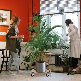 Arebos Rollbrett 200 kg