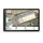 Garmin dezl LGV1020 LKW-Navigationsgerät