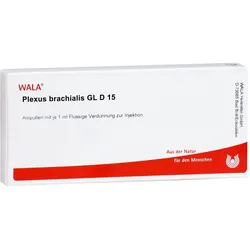 Plexus Brachialis Gl D 15 Ampullen
