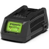 Greenworks G24C