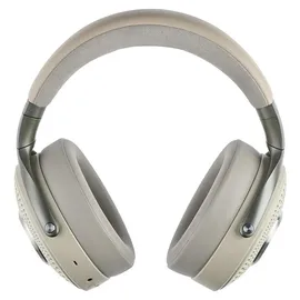 Focal Bathys dune