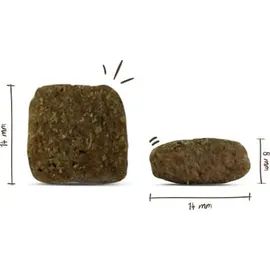 Bosch Tiernahrung Mini Adult Geflügel & Hirse 3 kg