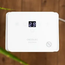 Cecotec ReadyWarm 6400 2000 W Grau/Weiß