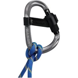 Mammut HMS-Karabiner Grau