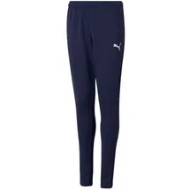 Puma Teamrise Poly Jogginghose Peacoat/Puma White 164