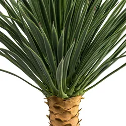 CREATIV green künstliche Pflanze Yucca rostrata Stamm, ca 85cm