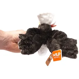Sonstige Verlage Pocketkins Eco Weißkopfseeadler 12 cm Braun/Mehrfarbig