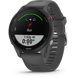 Garmin Forerunner 255 46 mm schiefergrau/schwarz
