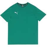 Puma Teamgoal Kurzarm-t shirt Pepper Green 164