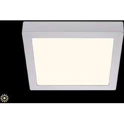BRILONER LEUCHTEN Aufbauleuchte "FIRE", silber (silber, weiß), Lampen