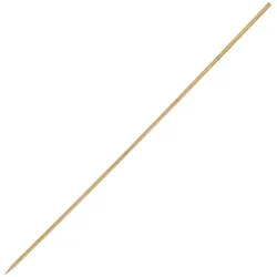 Gastronoble Fiesta Green Einweg-Holzspieße Biologisch abbaubar 25cm