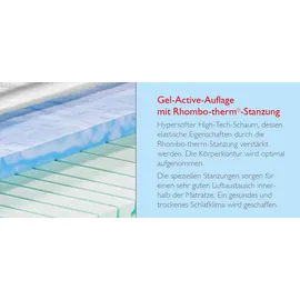 Badenia Trendline 7-Zonen-Kaltschaummatratze BT 320 Plus Gel Active 140 x 200 cm H4