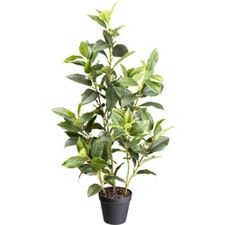 Künstliche Zimmerpflanze CREATIV GREEN "Osmanthus", grün, H:65cm, Kunstpflanzen, mit detailgetreuem Blattwerk