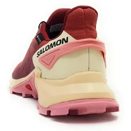 Salomon Supercross 4 Gore-Tex Damen cow hide/syrah/blush 40