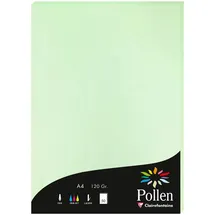 Pollen A4 120 g/m2 50 Blatt