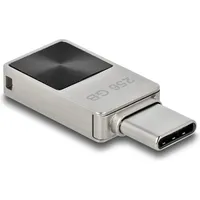 Delock 54009 USB-Stick 256 GB USB C), USB Stick, Grau,