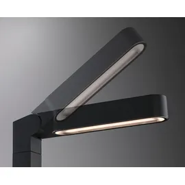 Paulmann LED Pollerleuchte Ito Kunststoff 71,0 cm 1 Stk. Anthrazit
