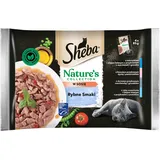 Sheba Nature's Collection Beutel mit Fischgeschmack – komplettes Nassfutter für ausgewachsene Katzen in Soße 13 x (4x85g)