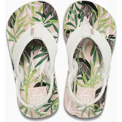 Reef Little AHI zebra 4