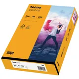 Inapa tecno Kopierpapier colors mittelorange DIN A4 160 g/qm 250 Blatt