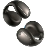 Soundcore C40i Schwarz