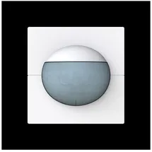 Busch-Jaeger Busch-Wächter 180 flex 64764-44G