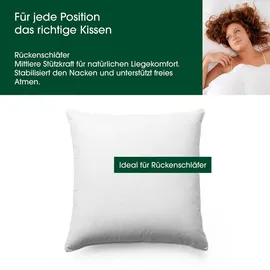 HANSKRUCHEN Premium de Luxe Daunenkissen 80 x 80 cm Weiß