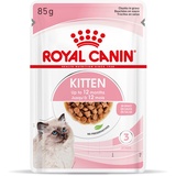 Royal Canin 24 x 85g Kitten in Soße Royal Canin Katzenfutter nass